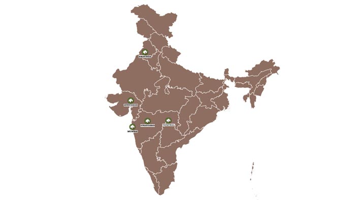 indian